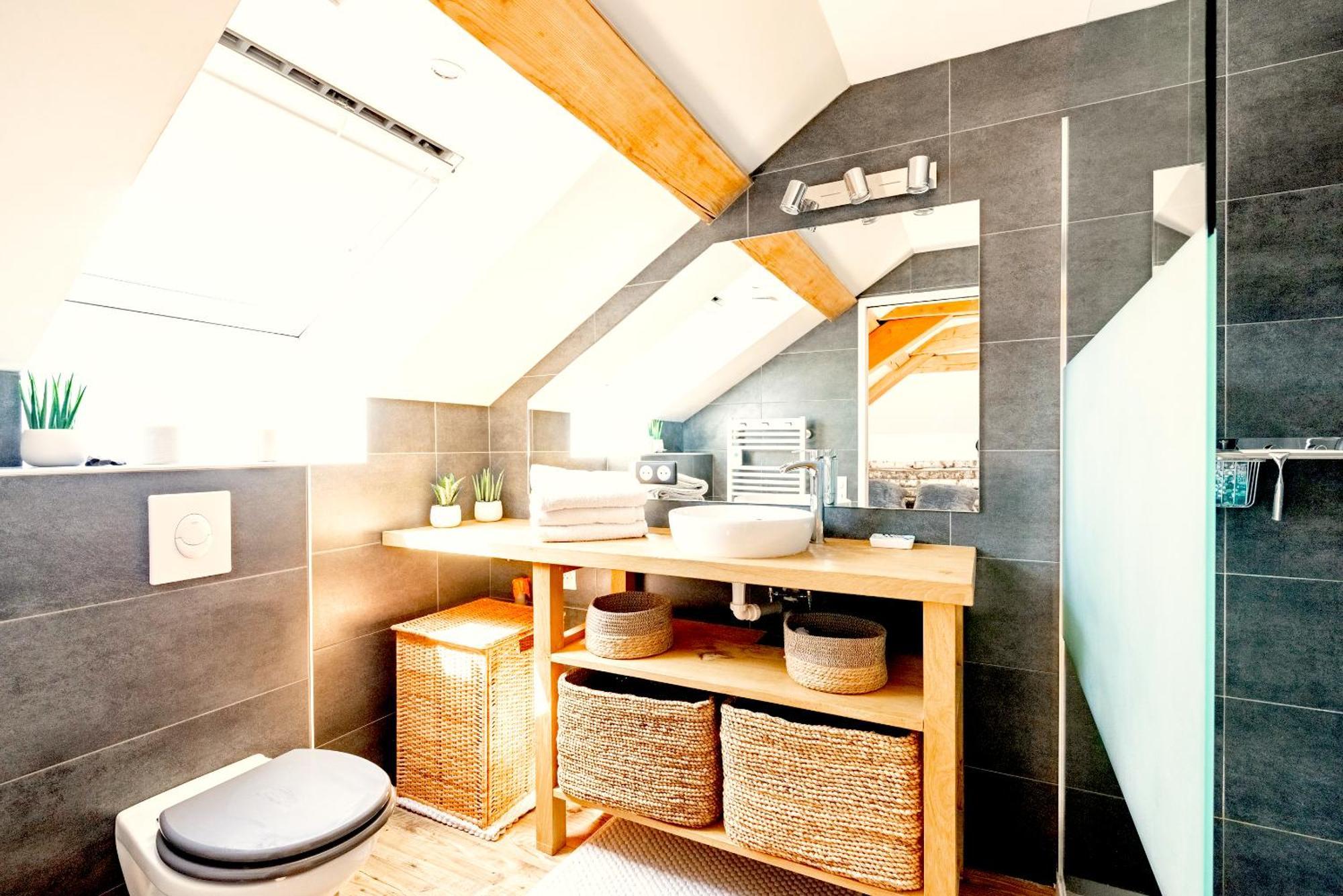 Sous Les Toits De Fleury Appartement Dijon